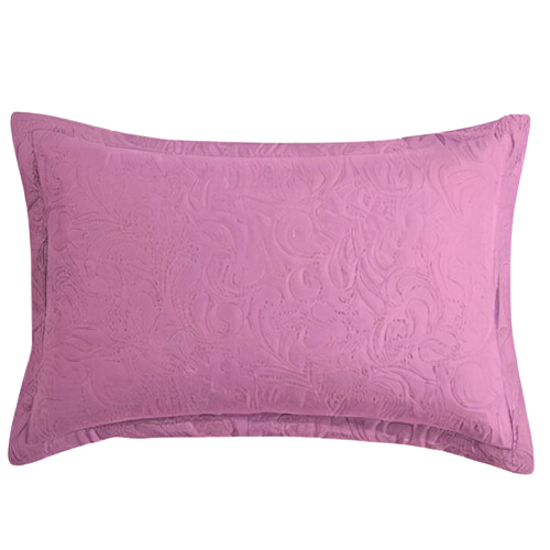 Pair Of Pillow Cover
