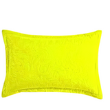 Pair Of Pillow Cover